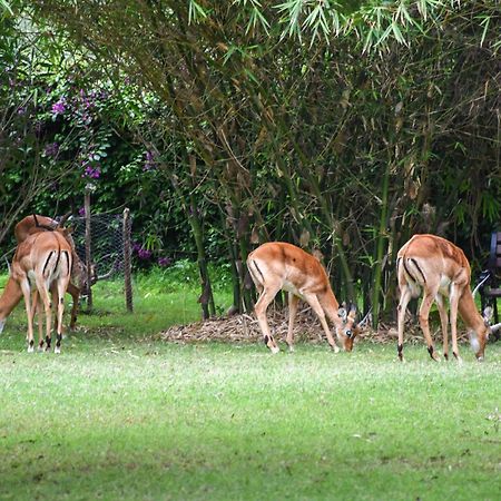 Lukenya Getaway Hotel Athi River Luaran gambar