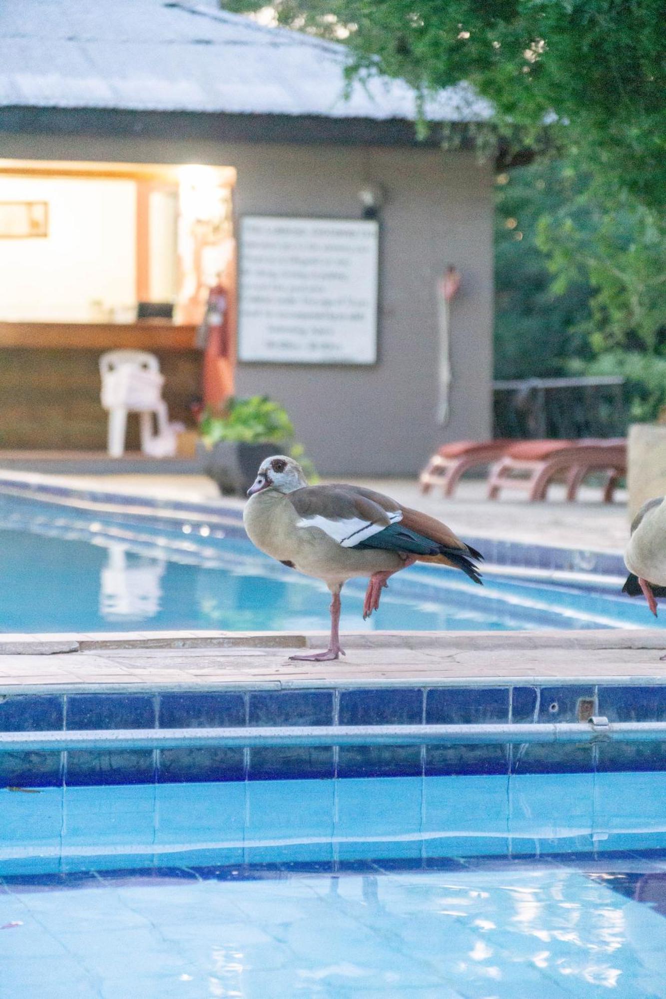 Lukenya Getaway Hotel Athi River Luaran gambar