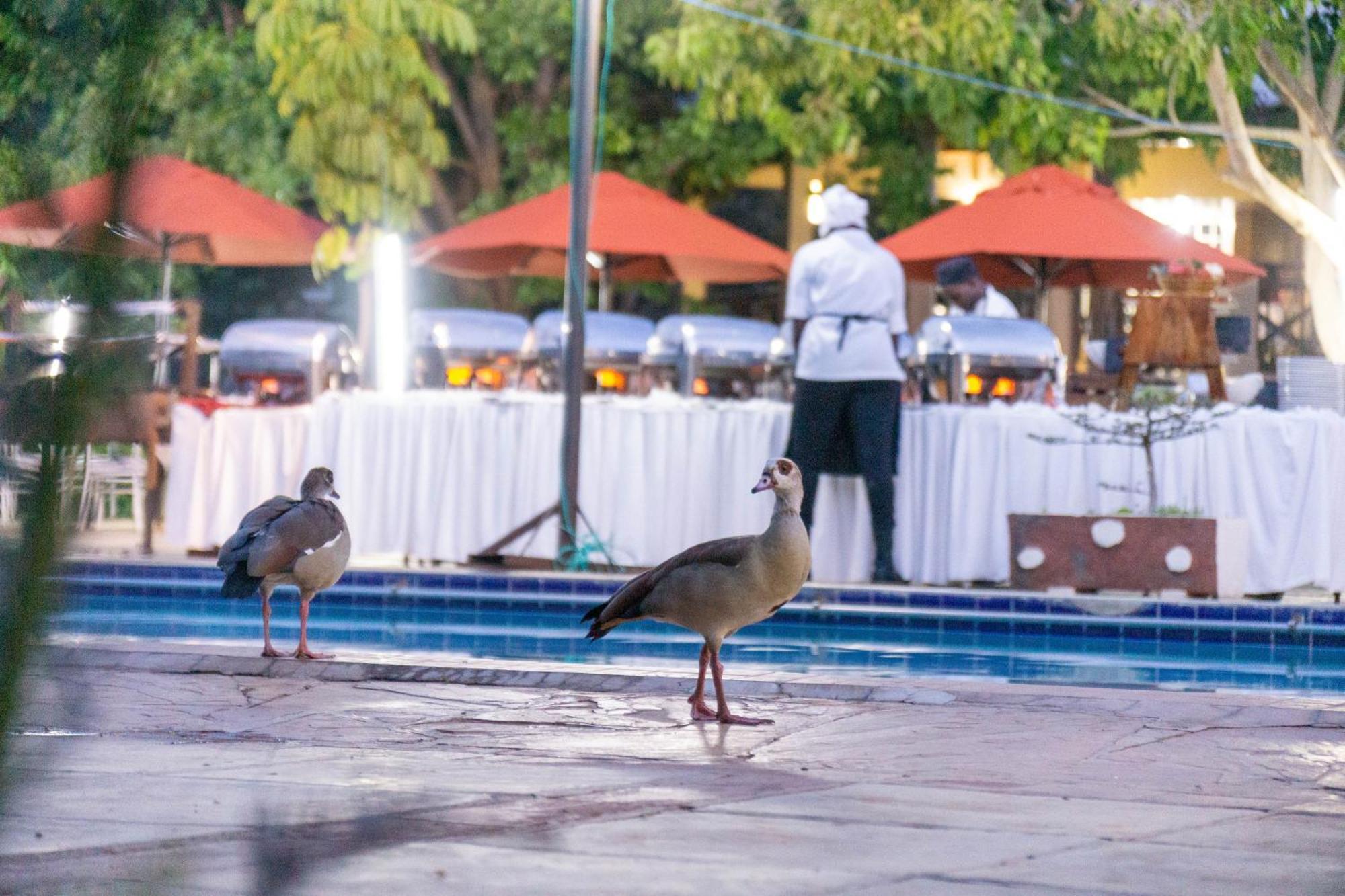 Lukenya Getaway Hotel Athi River Luaran gambar