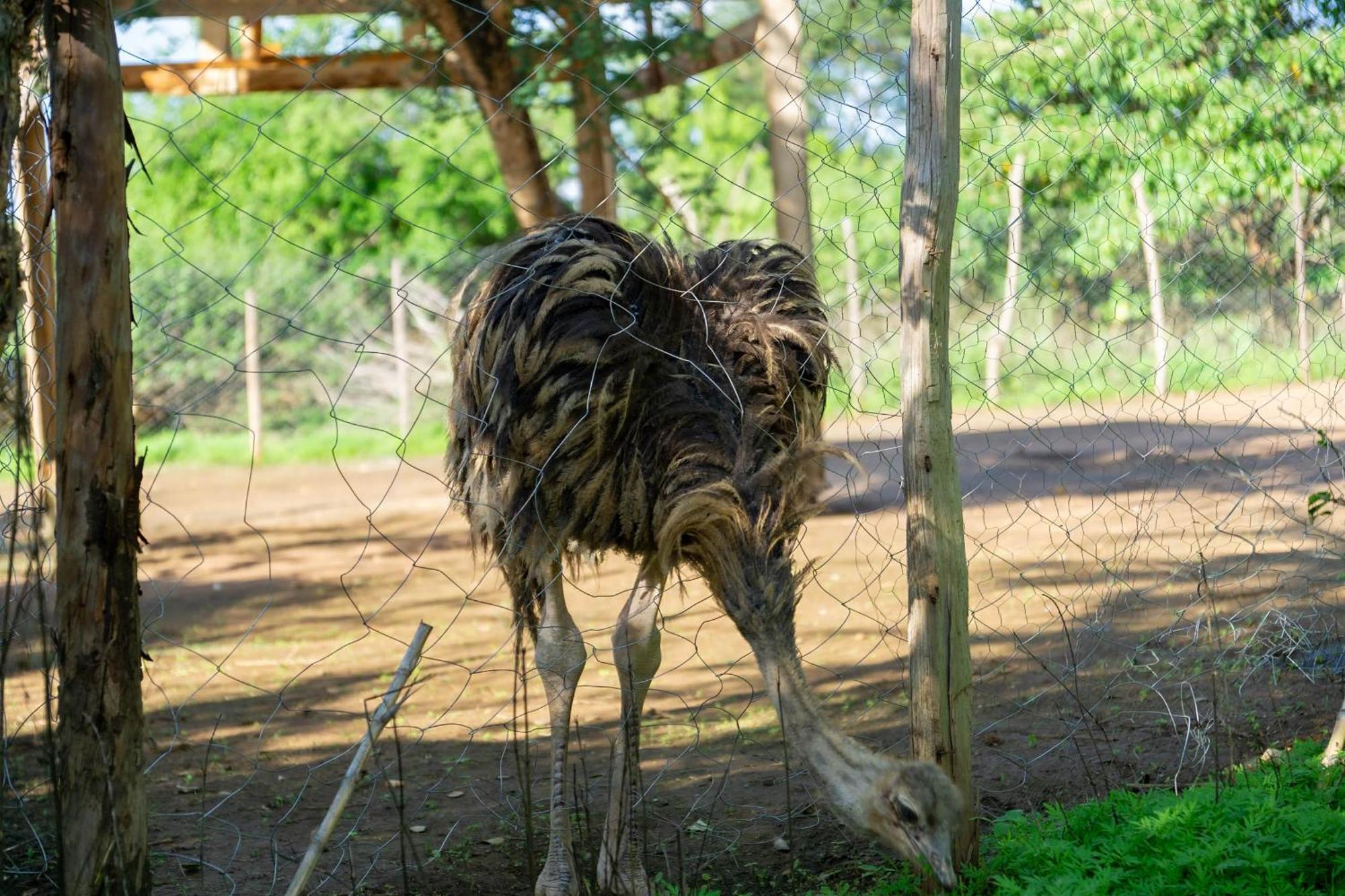 Lukenya Getaway Hotel Athi River Luaran gambar
